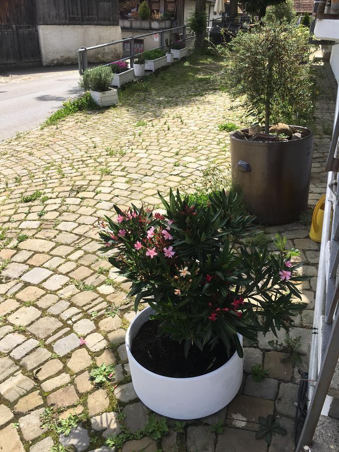 B&B Baeren Rueggisberg Ngoại thất bức ảnh